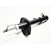 Rear Shock Absorber (GAS)