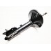 Rear Shock Absorber (GAS)