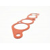 Intake Manifold Gasket