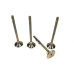 Exhaust valve (set of 4 pcs)