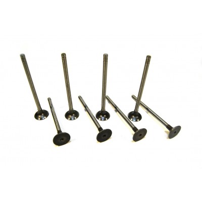 Exhaust valve (set of 8 pcs)