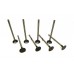 Exhaust valve (set of 8 pcs)