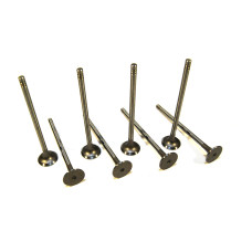 Exhaust valve (set of 8 pcs)