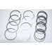 Piston rings 0.50