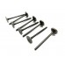 Exhaust valve (set of 8 pcs)