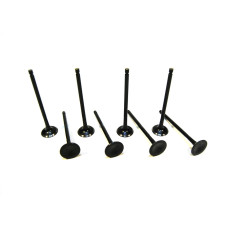 Exhaust valve (set of 8 pcs)