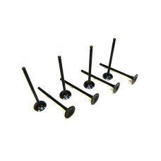 Exhaust valve (set of 8 pcs)