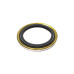 Rear hub oil seal