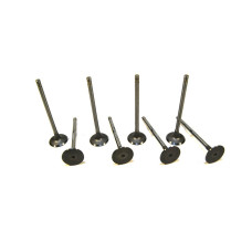 Exhaust valve (set)