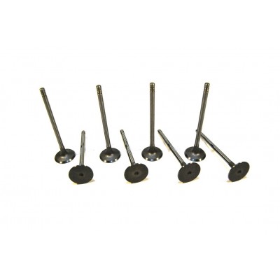 Exhaust valve (set)