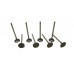 Exhaust valve (set)