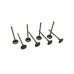 Exhaust valve (set)