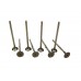 Exhaust valve (set of 8 pcs)