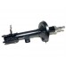 Front Shock Absorber (GAS)